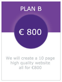 Picture of plan b 10 page website for 800 euro