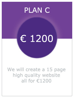 Picture of plan c 15 page website for 1200 euro in dundalk co. louth